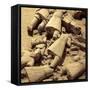 Terracotta Army, Xian, Shaanxi, China-Ivan Vdovin-Framed Stretched Canvas