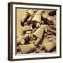 Terracotta Army, Xian, Shaanxi, China-Ivan Vdovin-Framed Photographic Print