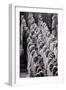 Terracotta Army-null-Framed Premium Photographic Print