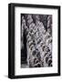 Terracotta Army-null-Framed Photographic Print