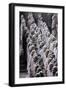 Terracotta Army-null-Framed Photographic Print