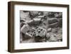 Terracotta Army-null-Framed Photographic Print