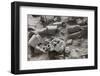 Terracotta Army-null-Framed Photographic Print