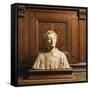 Terracotta Bust-Donatello-Framed Stretched Canvas