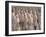 Terracotta Figures from 2000 Year Old Army of Terracotta Warriors, Xian, Shaanxi Province, China-Gavin Hellier-Framed Photographic Print