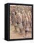 Terracotta Figures from 2000 Year Old Army of Terracotta Warriors, Xian, Shaanxi Province, China-Gavin Hellier-Framed Stretched Canvas