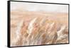 Terracotta Prairie Grasses-Danhui Nai-Framed Stretched Canvas