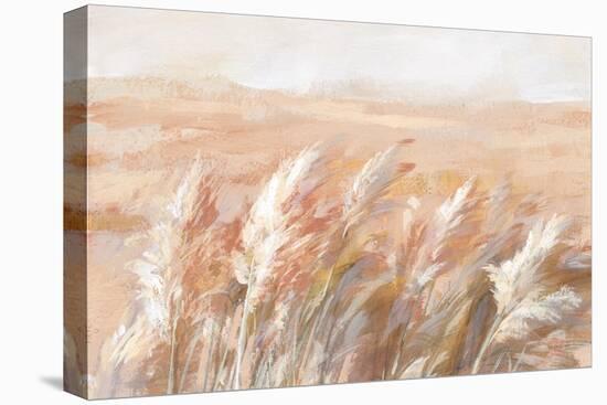 Terracotta Prairie Grasses-Danhui Nai-Stretched Canvas