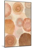 Terracotta Shells II-Flora Kouta-Mounted Art Print