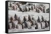 Terracotta Soldiers at Qin Shi Huangdi Tomb-null-Framed Stretched Canvas