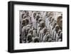 Terracotta Soldiers at Qin Shi Huangdi Tomb-null-Framed Photographic Print