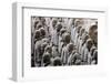 Terracotta Soldiers at Qin Shi Huangdi Tomb-null-Framed Photographic Print