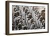 Terracotta Soldiers at Qin Shi Huangdi Tomb-null-Framed Photographic Print