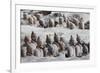 Terracotta Soldiers at Qin Shi Huangdi Tomb-null-Framed Photographic Print