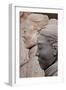 Terracotta Soldiers at Qin Shi Huangdi Tomb-null-Framed Photographic Print