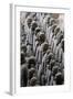 Terracotta Soldiers at Qin Shi Huangdi Tomb-null-Framed Photographic Print