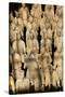 Terracotta Soldiers UNESCO World Heritage Site-Darrell Gulin-Stretched Canvas