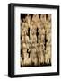 Terracotta Soldiers UNESCO World Heritage Site-Darrell Gulin-Framed Photographic Print