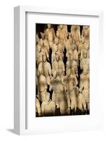 Terracotta Soldiers UNESCO World Heritage Site-Darrell Gulin-Framed Photographic Print