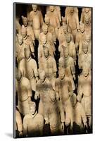 Terracotta Soldiers UNESCO World Heritage Site-Darrell Gulin-Mounted Photographic Print