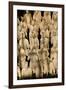 Terracotta Soldiers UNESCO World Heritage Site-Darrell Gulin-Framed Premium Photographic Print