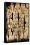 Terracotta Soldiers UNESCO World Heritage Site-Darrell Gulin-Framed Stretched Canvas