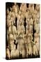 Terracotta Soldiers UNESCO World Heritage Site-Darrell Gulin-Stretched Canvas