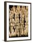 Terracotta Soldiers UNESCO World Heritage Site-Darrell Gulin-Framed Photographic Print