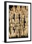 Terracotta Soldiers UNESCO World Heritage Site-Darrell Gulin-Framed Photographic Print