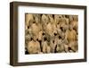 Terracotta Soldiers UNESCO World Heritage Site-Darrell Gulin-Framed Photographic Print