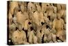 Terracotta Soldiers UNESCO World Heritage Site-Darrell Gulin-Stretched Canvas