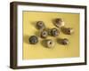 Terracotta Spindle Whorls, from Toscanella Imolese, Province of Bologna-null-Framed Giclee Print