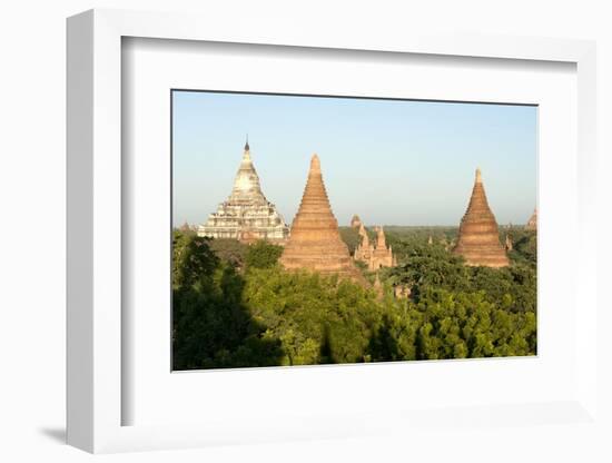 Terracotta Temples of Bagan, Mandalay Division-Annie Owen-Framed Photographic Print