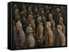 Terracotta Warrior Statues in Qin Shi Huangdi Tomb-Danny Lehman-Framed Stretched Canvas