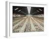 Terracotta Warriors Army, Pit Number 1, Xian, Shaanxi, China, Asia-Neale Clark-Framed Photographic Print