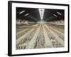 Terracotta Warriors Army, Pit Number 1, Xian, Shaanxi, China, Asia-Neale Clark-Framed Photographic Print
