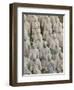 Terracotta Warriors Army, Pit Number 1, Xian, Shaanxi Province, China, Asia-Neale Clark-Framed Photographic Print
