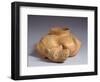 Terracotta Zoomorphic Vase, Artifact Originating from Teotihuacan-null-Framed Giclee Print