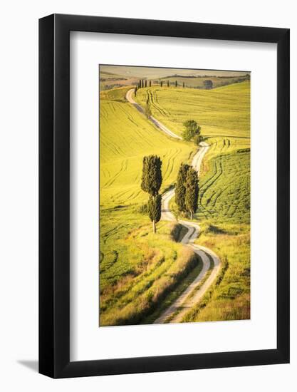 Terrapille, Pienza, Val d'Orcia, Tuscany, Italy-ClickAlps-Framed Photographic Print