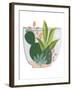 Terrarium Cameo V-June Vess-Framed Art Print