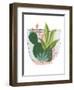 Terrarium Cameo V-June Vess-Framed Art Print