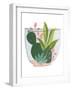 Terrarium Cameo V-June Vess-Framed Art Print