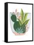 Terrarium Cameo V-June Vess-Framed Stretched Canvas