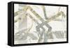 Terrazzo I Crop-Wild Apple Portfolio-Framed Stretched Canvas