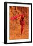 Black Frame