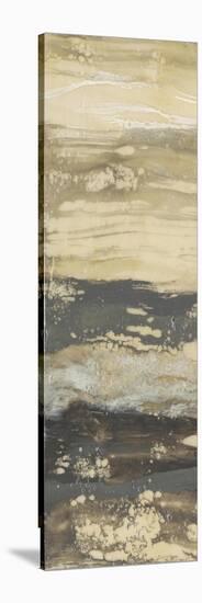 Terre Umber I-Jennifer Goldberger-Stretched Canvas