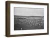 'Terreiro para seccar o Cafe', (Coffee Drying and Packaging), 1895-Axel Frick-Framed Photographic Print