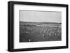 'Terreiro para seccar o Cafe', (Coffee Drying and Packaging), 1895-Axel Frick-Framed Photographic Print