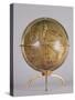 Terrestrial Globe-Martin Waldsemuller-Stretched Canvas