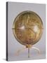 Terrestrial Globe-Martin Waldsemuller-Stretched Canvas